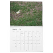 Tiny Hill Boerderij Extreme Cuteness Calendar Kalender (Feb 2027)
