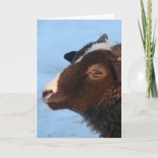 Tiny Kaart (Voorkant)