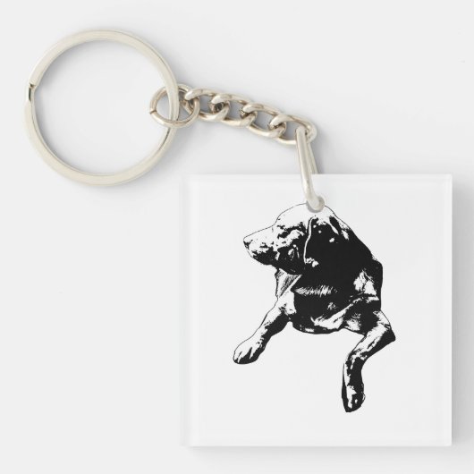 Tiny Keeper Tag, Lab Sleutelhanger (voorkant)