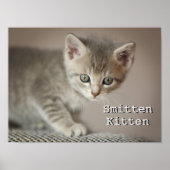 Tiny Kitten Poster (Voorkant)