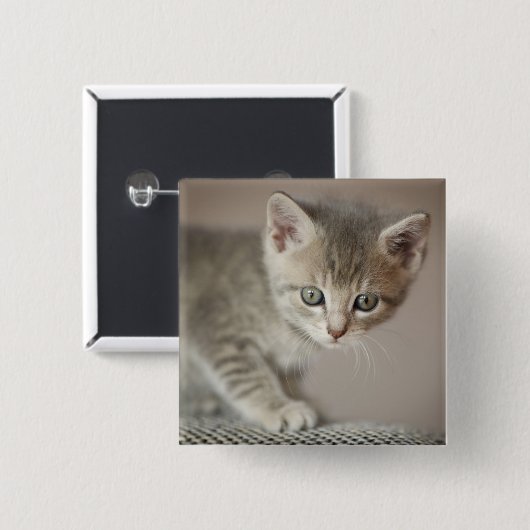 Tiny Kitten Vierkante Button 5,1 Cm (Voorkant /achterkant)