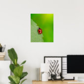 Tiny Lady Bug Poster (Thuiskantoor)