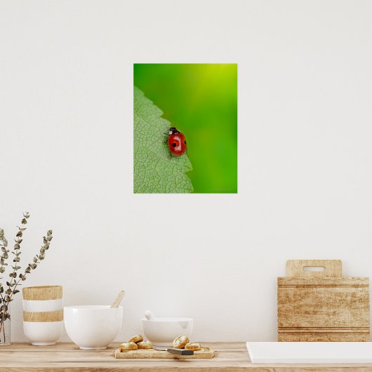 Tiny Lady Bug Poster (Keuken)