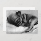 Tiny Life - Handgeschilderde Chihuahua pasgeborene Briefkaart (Voorkant / Achterkant)