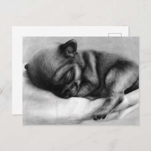 Tiny Life - Handgeschilderde Chihuahua pasgeborene Briefkaart (Voorkant / Achterkant)
