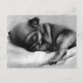 Tiny Life - Handgeschilderde Chihuahua pasgeborene Briefkaart (Voorkant)