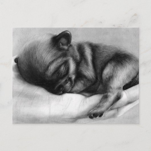 Tiny Life - Handgeschilderde Chihuahua pasgeborene Briefkaart (Voorkant)