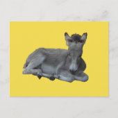 Tiny Little Grey Donkey Foal Briefkaart (Voorkant)