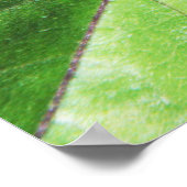 Tiny Mantis Poster (Hoek)