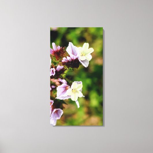 tiny multi colour flower spring flora collection canvas afdruk (Voorkant)