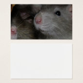 Tiny Noses Visitekaartje (Voorkant /achterkant)