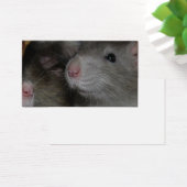 Tiny Noses Visitekaartje (Bureau)