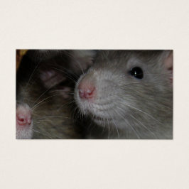 Tiny Noses Visitekaartje