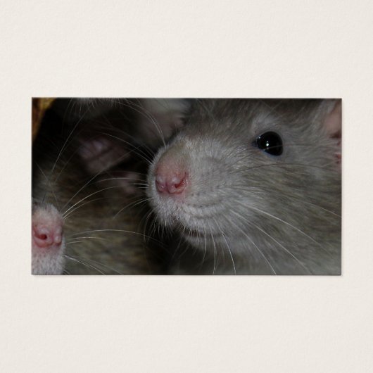 Tiny Noses Visitekaartje (Voorkant)