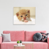 Tiny Oranje Kitten Canvas Afdruk (Insitu (Woonkamer))