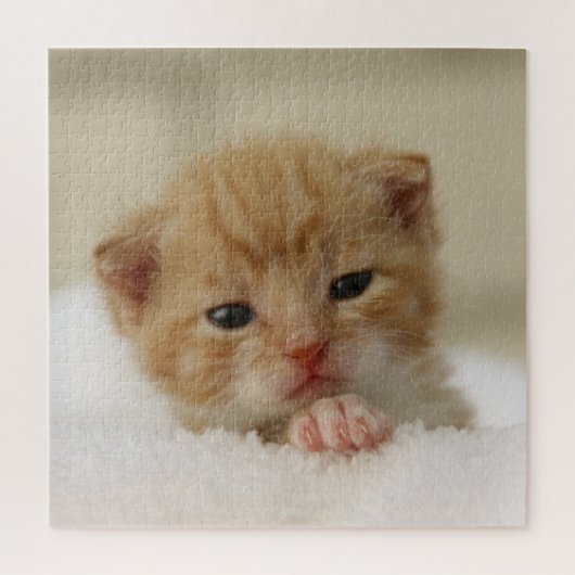 Tiny Oranje Kitten Legpuzzel (Verticaal)