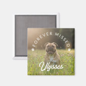 Tiny Paw Prints voor altijd Gemist Pet Photo Magneet (Voorkant / Achterkant)