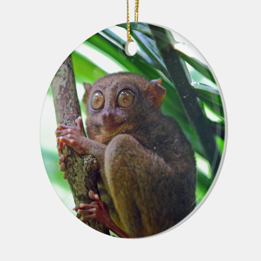 Tiny Philippine tarsier Keramisch Ornament (Links)