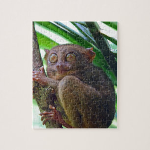 Tiny Philippine tarsier Legpuzzel