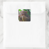 Tiny Philippine tarsier Vierkante Sticker (Tas)