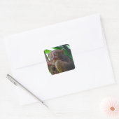 Tiny Philippine tarsier Vierkante Sticker (Envelop)