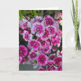 Tiny Pink Flowers Blank Notecard Kaart