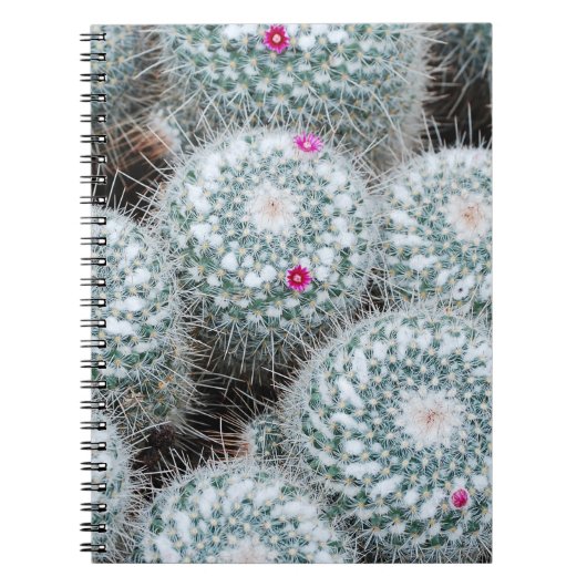 Tiny Pink Flowers Cactus Planten Notitieboek (Voorkant)