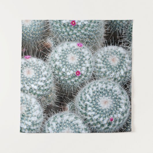 Tiny Pink Flowers Cactus Planten Wandkleed (Voorkant)