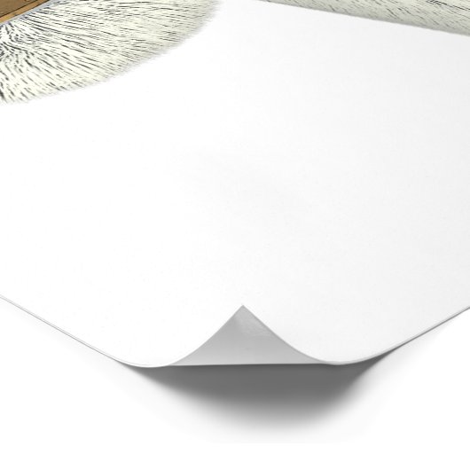 Tiny Planets Sofa Safari Poster (Hoek)