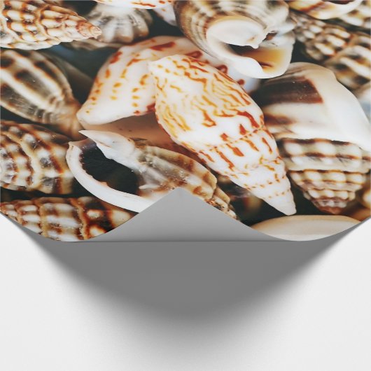 Tiny Seashells Cadeaupapier (Hoek)