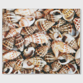 Tiny Seashells Cadeaupapier (Vlak)
