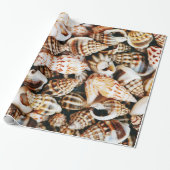 Tiny Seashells Cadeaupapier (Uitgerold)