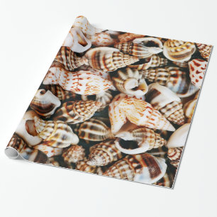 Tiny Seashells Cadeaupapier