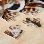 Tiny Seashells Legpuzzel (Zijkant)