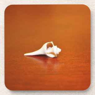 Tiny Shell Drankjes Onderzetter