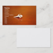 Tiny Shell Visitekaartje (Voorkant / Achterkant)