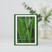 Tiny Snail "Als je niet kon falen" Briefkaart (Staand voorkant)