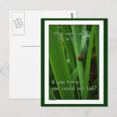 Tiny Snail "Als je niet kon falen" Briefkaart (Voorkant / Achterkant)