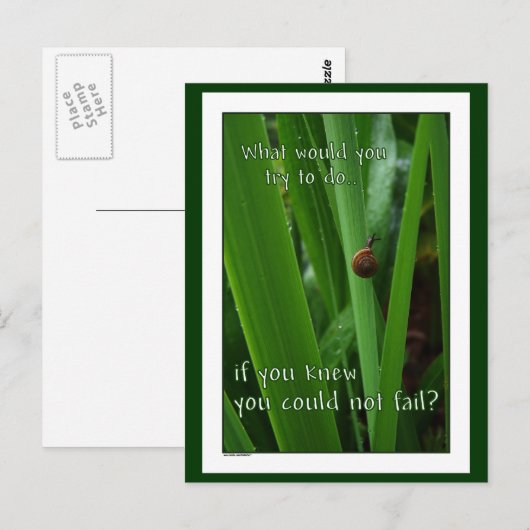 Tiny Snail "Als je niet kon falen" Briefkaart (Voorkant / Achterkant)