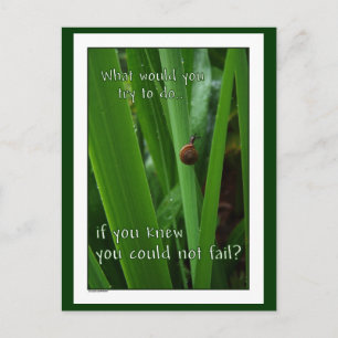 Tiny Snail "Als je niet kon falen" Briefkaart