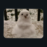 Tiny Snowman Flexible Magnet Magneet<br><div class="desc">Het is Tiny Snowman. Ja, een jaar na een nachtelijke sneeuwval, verzamelde ik wat sneeuw bij elkaar uit de veranda en maakte ik deze kleine sneeuwman met zijn bittere twijgen voor wapens en chocoladebits voor zijn ogen en neus. Nu, ik deel mijn kleine sneeuwman met jou. Een schattig ontwerp voor...</div>