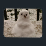 Tiny Snowman Flexible Magnet Magneet<br><div class="desc">Het is Tiny Snowman. Ja, een jaar na een nachtelijke sneeuwval, verzamelde ik wat sneeuw bij elkaar uit de veranda en maakte ik deze kleine sneeuwman met zijn bittere twijgen voor wapens en chocoladebits voor zijn ogen en neus. Nu, ik deel mijn kleine sneeuwman met jou. Een schattig ontwerp voor...</div>