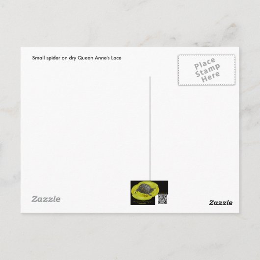 Tiny Spider op Dry Queen's Lace Briefkaart (Achterkant)