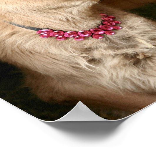 Tiny Tinker de koe met een gok. Poster (Hoek)