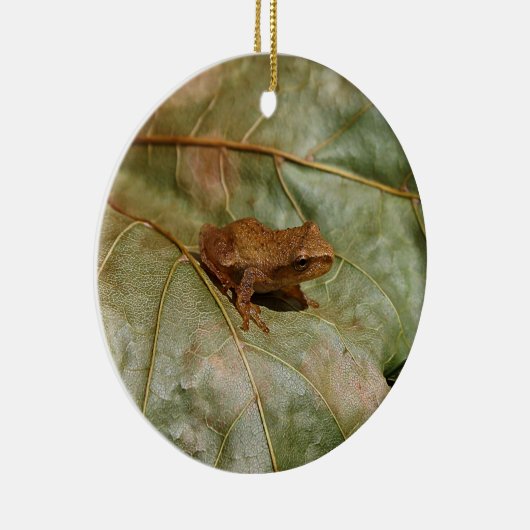 Tiny Toad Keramisch Ornament (Rechts)