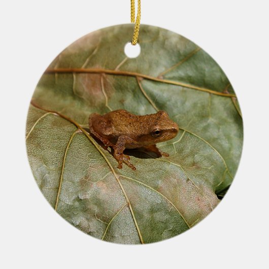 Tiny Toad Keramisch Ornament (Voorkant)