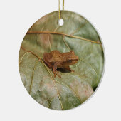 Tiny Toad Keramisch Ornament (Links)