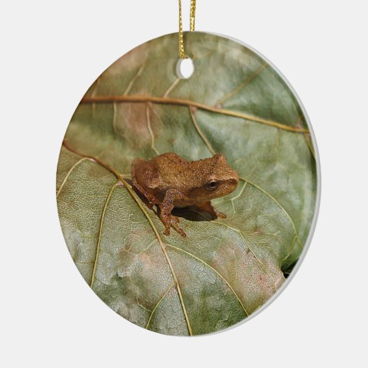 Tiny Toad Keramisch Ornament (Links)