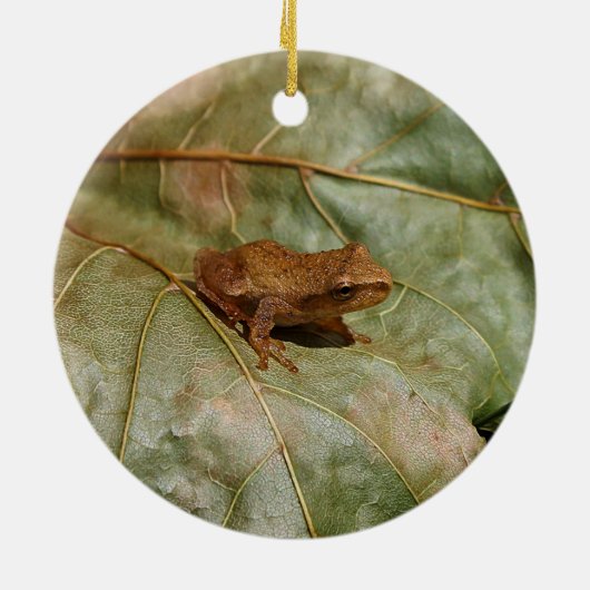 Tiny Toad Keramisch Ornament (Achterkant)
