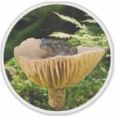 Tiny Toad on a Mini Mushroom with Ferns Sticker (Voorkant)